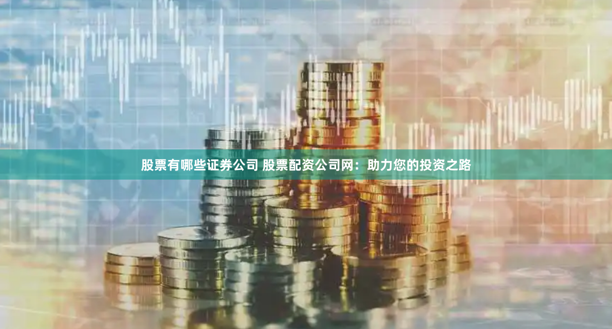 股票有哪些证券公司 股票配资公司网：助力您的投资之路